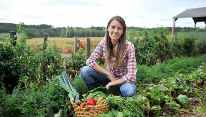 AGROTES-