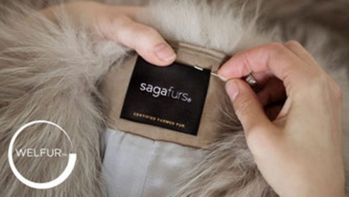 saga-furs