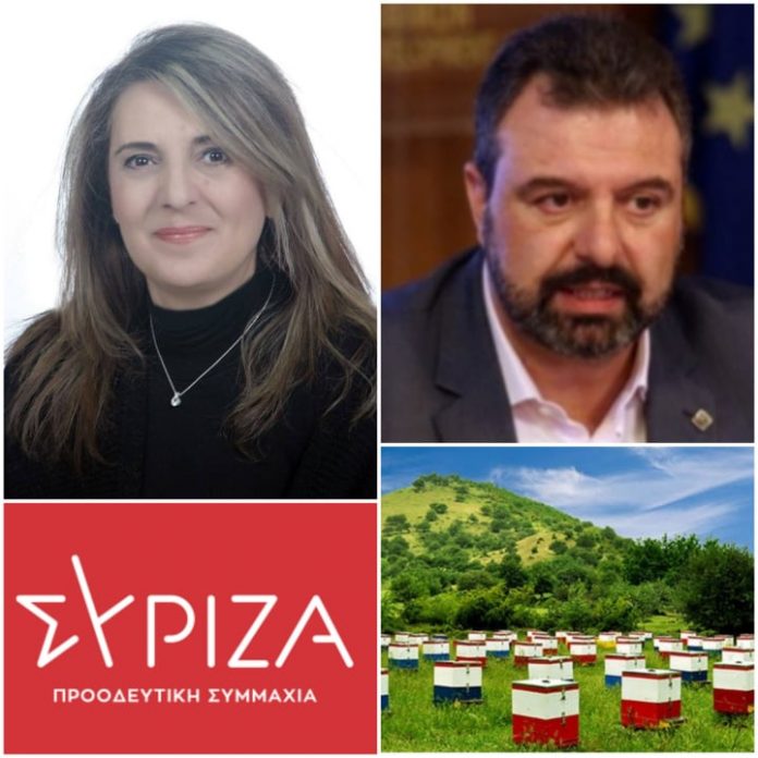 Μελισσοκομικό Μητρώο
