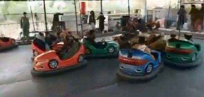 71817467077896345875-0137-9455411398818443-246892078865327732-2395