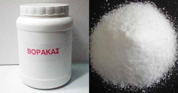vorakas-ti-einai-poy-chrisimopoieitai-kai-pos-tha-sas-lysei-ta-cheria